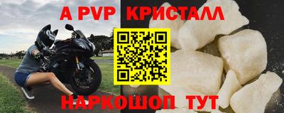 СК Гагарин