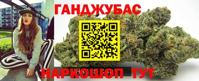 прущие грибы Гатчина