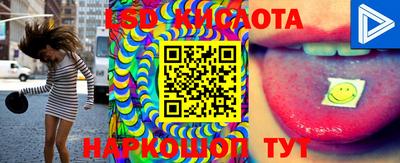 прущие грибы Гатчина