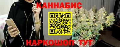 СК Гагарин