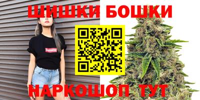 прущие грибы Гатчина