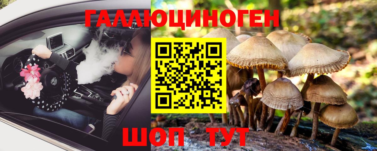 Псилоцибиновые грибы прущие грибы  Вход с VPN  Канаш 