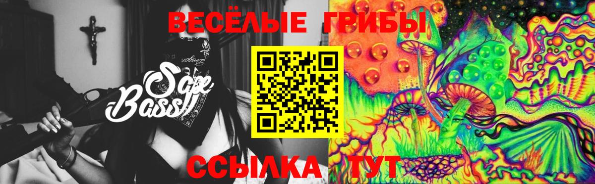 Галлюциногенные грибы прущие грибы Канаш